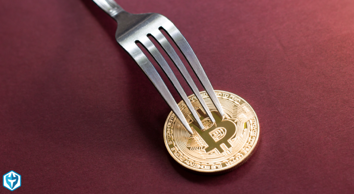 crypto fork