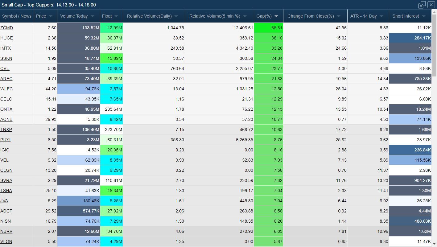 Small Cap – Top Gappers